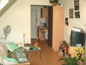  december05 054 300x226