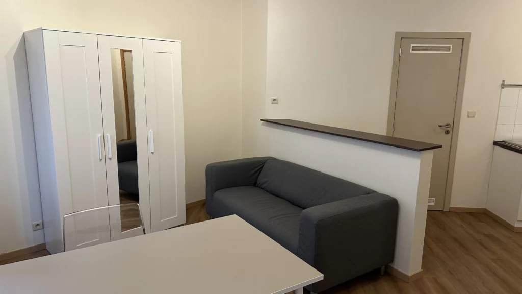 Grote studentenkamers te huur