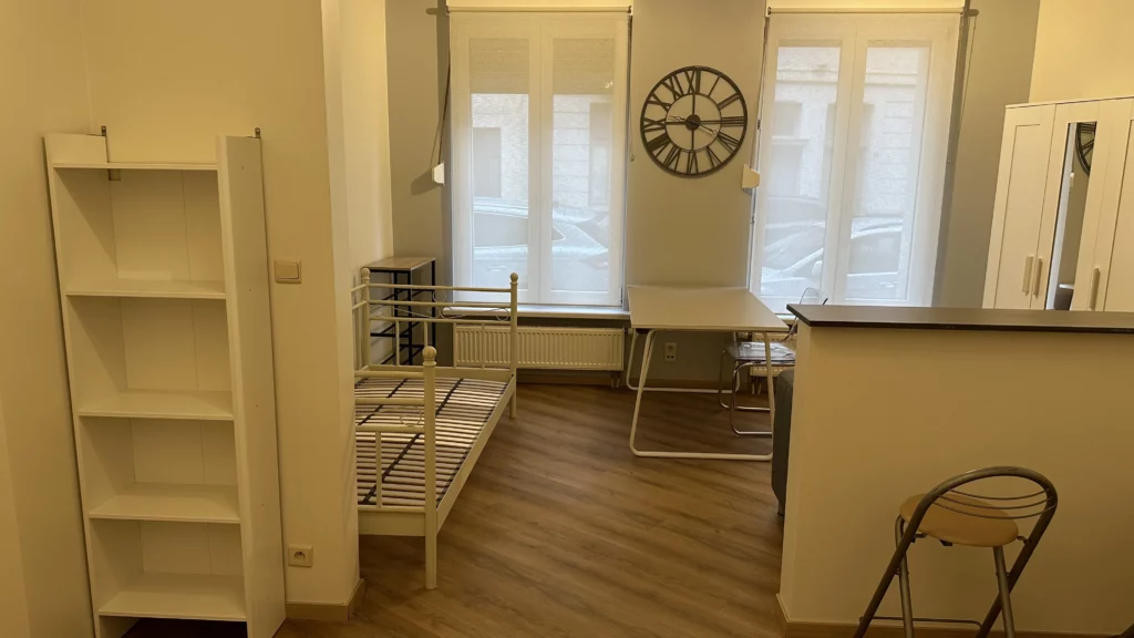 Grote studentenkamers te huur